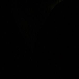 Meet your Posher, Erinda